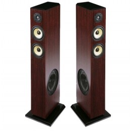 RBH TK-5CT ROSEWOOD Акустическая система напольная (пара)