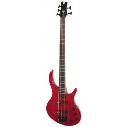Epiphone Toby Deluxe-V Bass (gloss) TR Бас-гитара 5-струнная