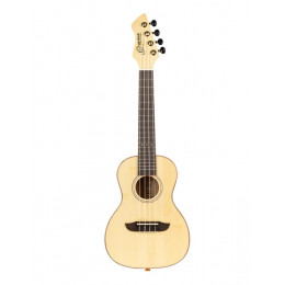 Ortega RUBO Horizon Series Укулеле концертный, с чехлом