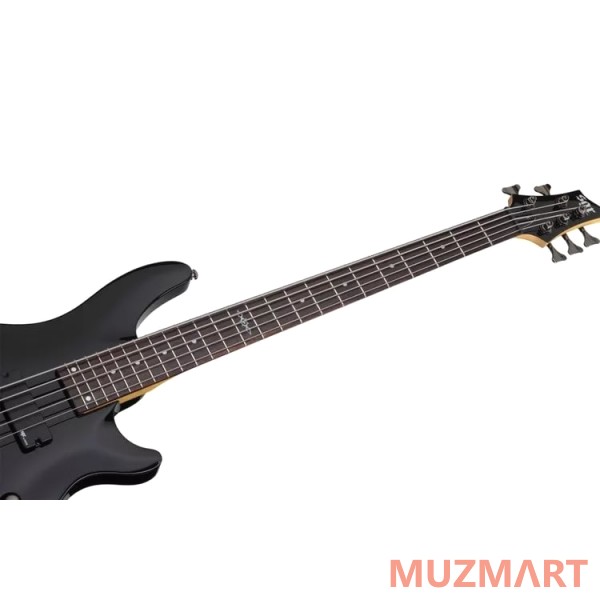 Schecter bass