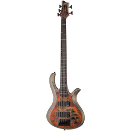 Schecter RIOT-5 INFERNO BURST (SIB) 5-ти струнная бас-гитара