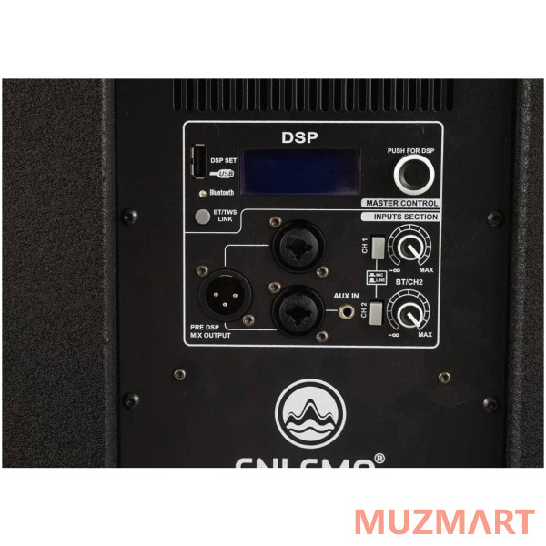 Enlema APS 1000 DSP Акустическая система
