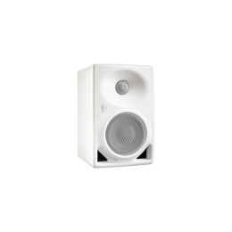 Neumann KH 80 DSP(AW-EU) Двухполосный активный монитор