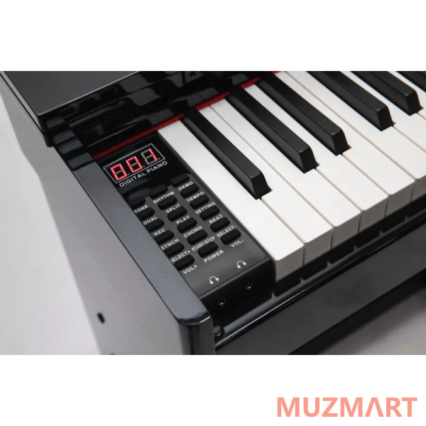 Pierre Cesar DP-12-PH-BK Цифровое фортепиано