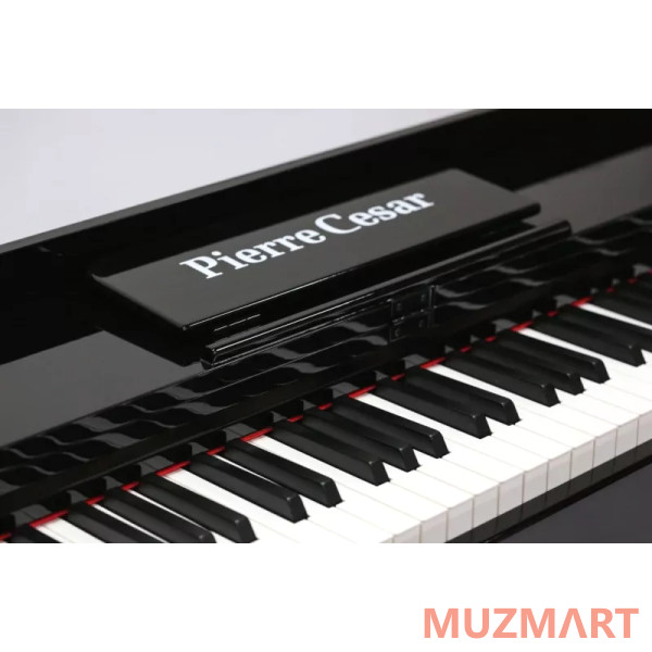 Pierre Cesar DP-12-PH-BK Цифровое фортепиано