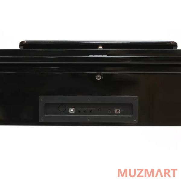 Pierre Cesar DP-12-PH-BK Цифровое фортепиано