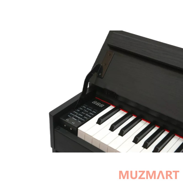 Pierre Cesar DP-17-PH-BK Цифровое фортепиано