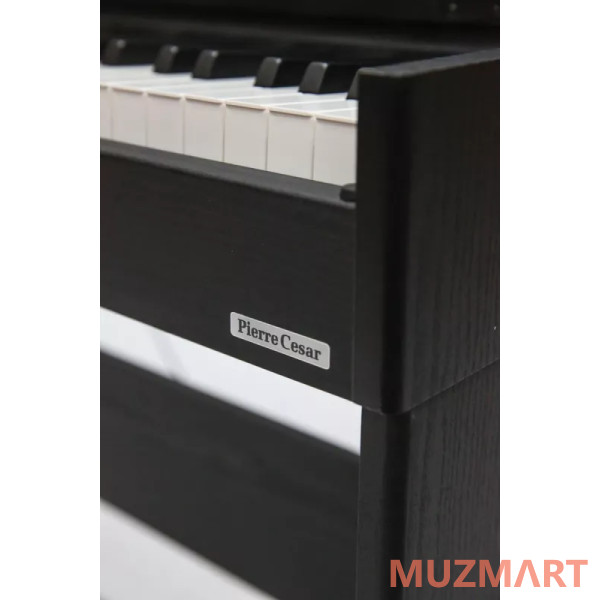 Pierre Cesar DP-17-PH-BK Цифровое фортепиано