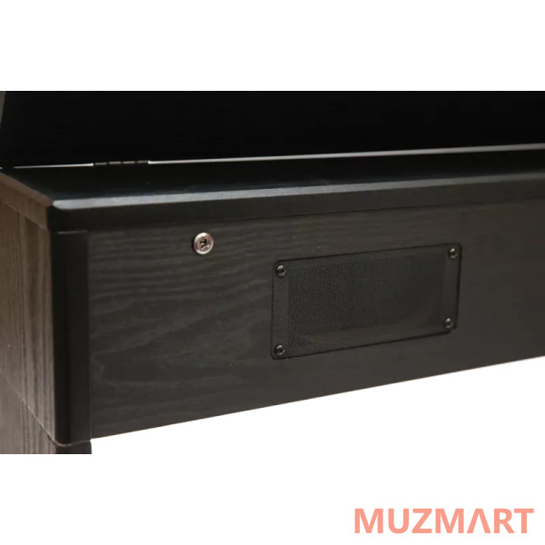 Pierre Cesar DP-17-PH-BK Цифровое фортепиано