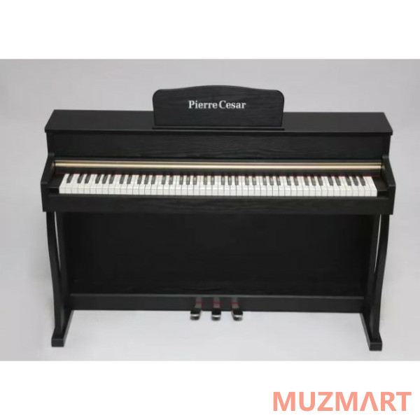 Pierre Cesar DP-500-H-BK Цифровое фортепиано