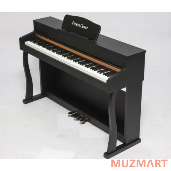 Pierre Cesar DP-500-H-BK Цифровое фортепиано