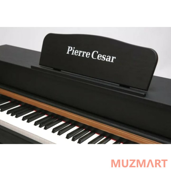 Pierre Cesar DP-500-H-BK Цифровое фортепиано