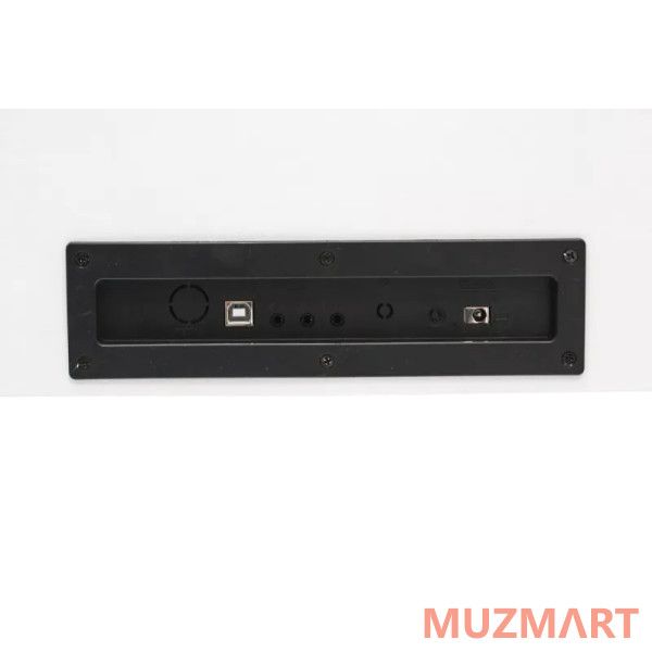 Pierre Cesar DP-500-H-WH Цифровое фортепиано