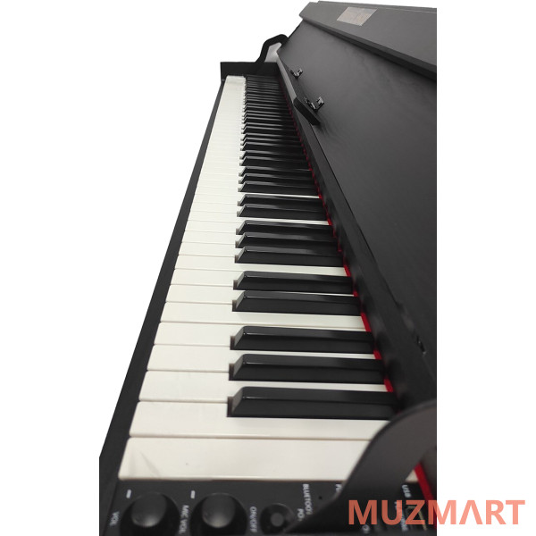 Pierre Cesar XY-2000-H-BK Цифровое фортепиано
