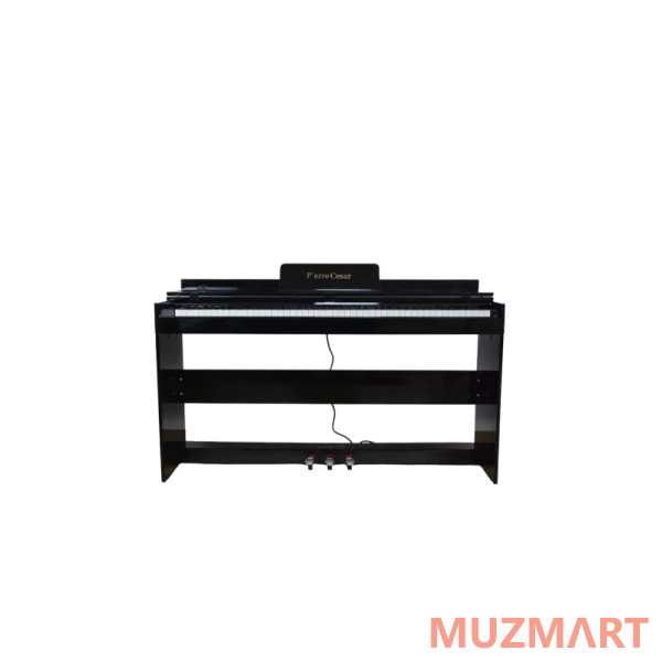Pierre Cesar XY-8813-H-BK Цифровое фортепиано