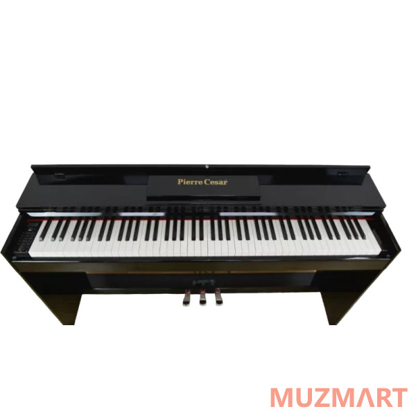 Pierre Cesar XY-8813-H-BK Цифровое фортепиано