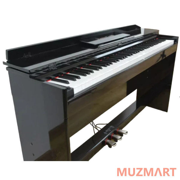 Pierre Cesar XY-8813-H-BK Цифровое фортепиано
