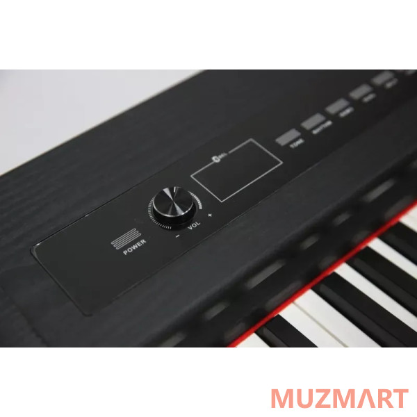Pierre Cesar M430D BK Цифровое фортепиано
