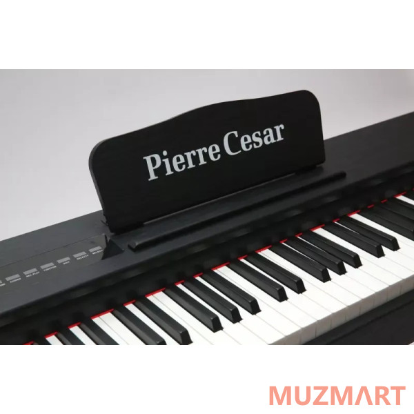 Pierre Cesar M430D BK Цифровое фортепиано