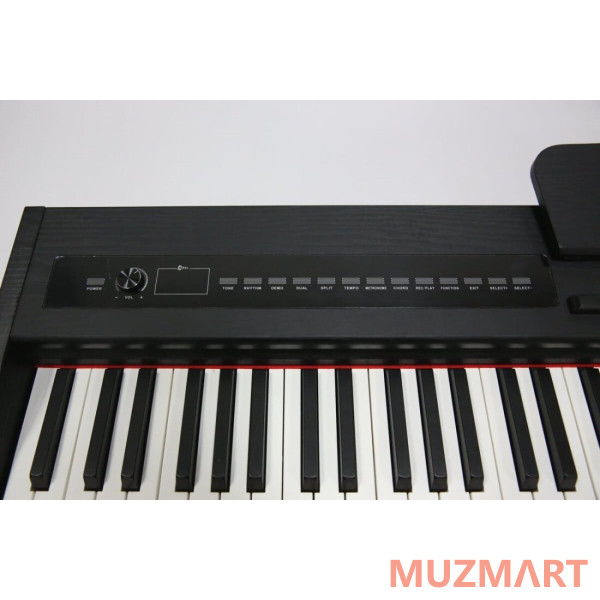 Pierre Cesar M430E BK Цифровое фортепиано