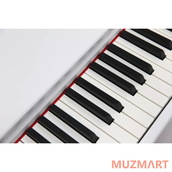 Pierre Cesar DP-121-HF-WH Цифровое фортепиано
