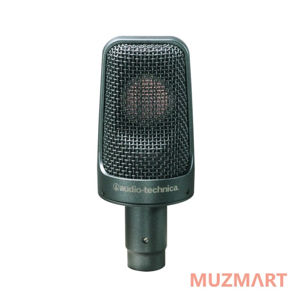 Audio-Technica AE3000 Инструментальный микрофон