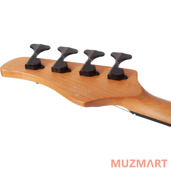 	Schecter C-4 STANDARD TB Гитара бас