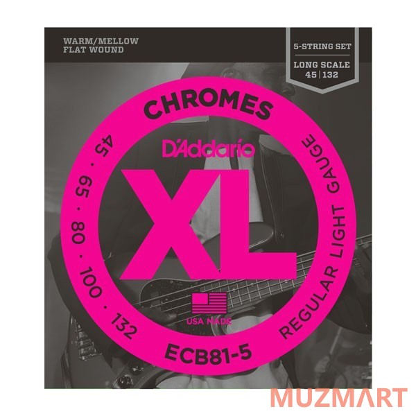 D'Addario ECB81-5 Струны для 5-ти струнной бас гитары , Light, 45-132