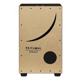Roland EC-10 Электро-кахон