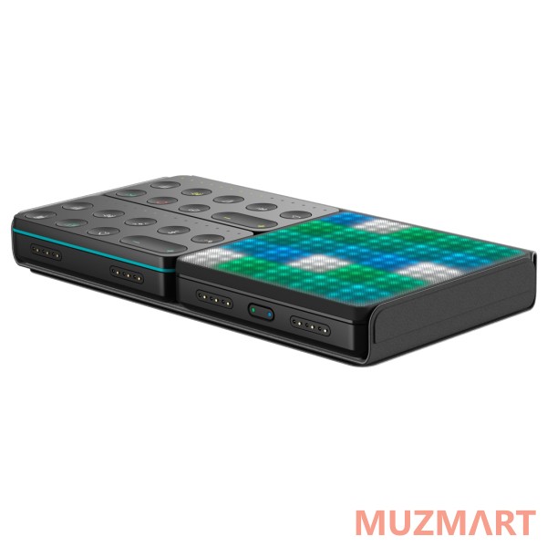 ROLI SNAPCASE DUO Чехол для BLOCKS Lightpad, BLOCKS Live BLOCK и BLOCKS Loop BLOCK
